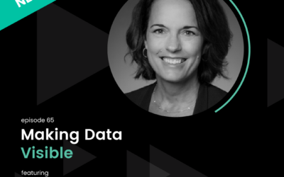 Making Data Visible │ The Financial Experience Podcast