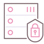 Industry standard data encryption icon